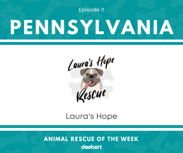 Animal Rescue of the Week Episode 11 Laura's Hope Rescue in
