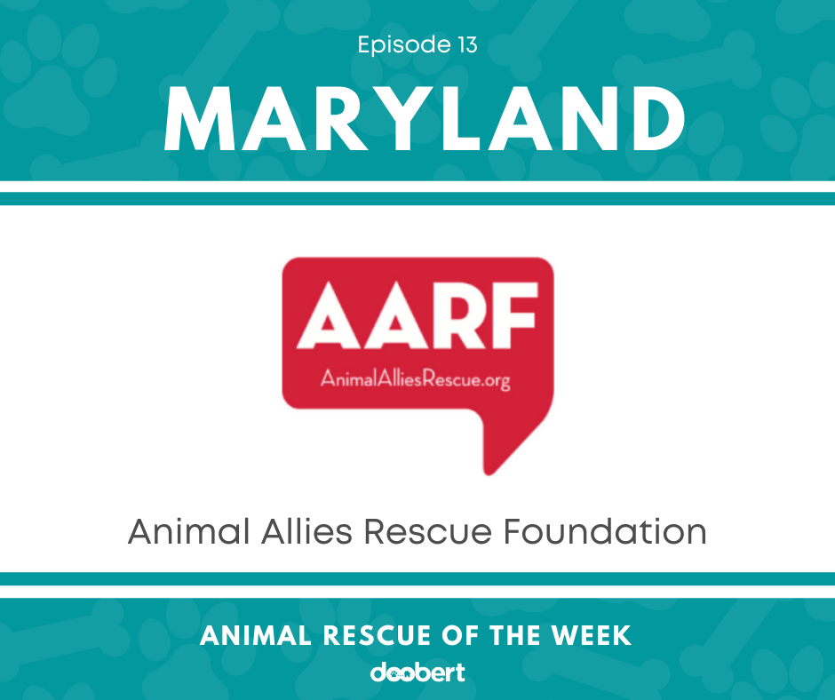 FB 13. Animal Allies Rescue Foundation_Animal Rescue of the Week