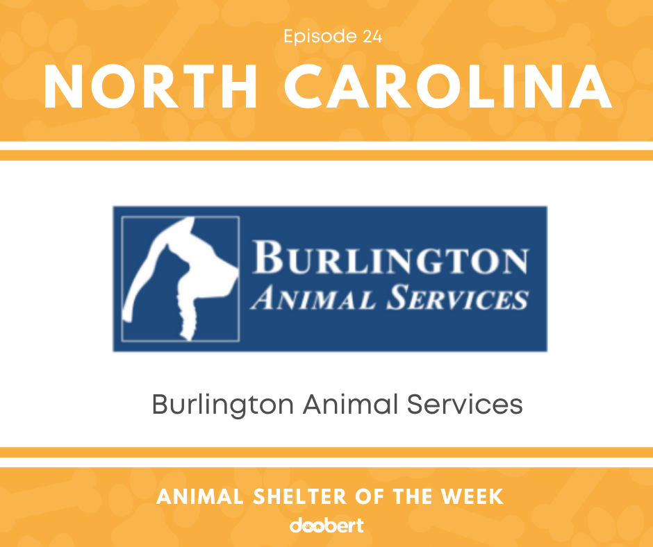 FB 24. Burlington Animal Services_Animal Shelter of the Week