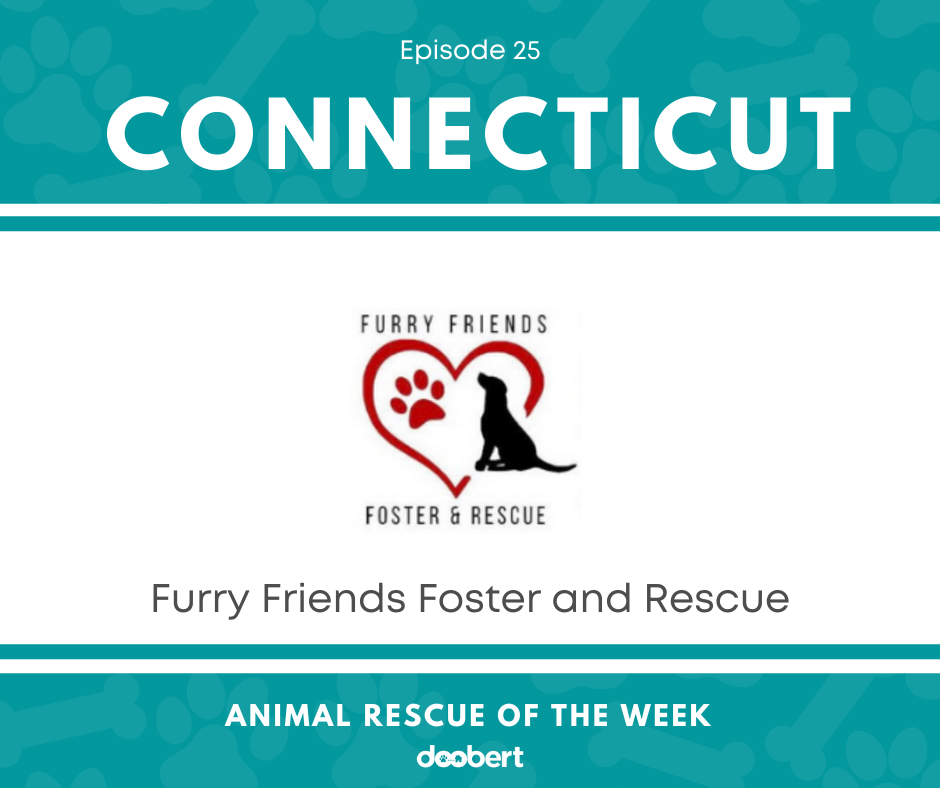 FB 25. Furry Friends Foster_Animal Rescue of the Week