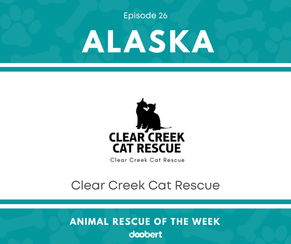FB 26. Clear Creek Cat Rescue_Animal Rescue of the Week
