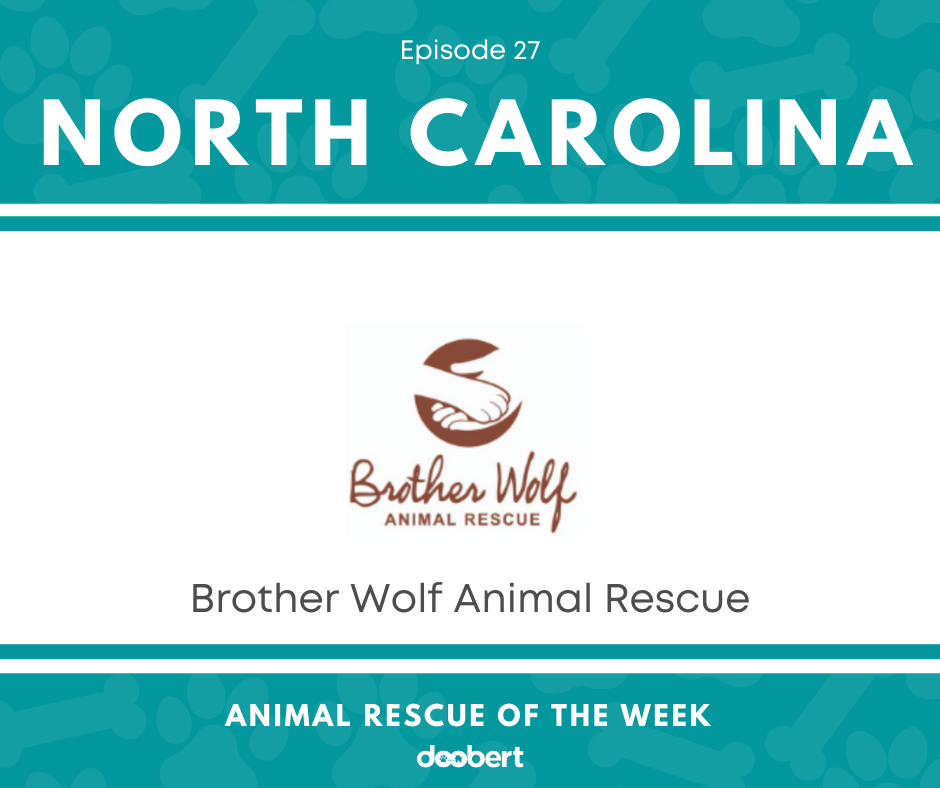 FB 27. Brother Wolf Animal Rescue_Animal Rescue of the Week