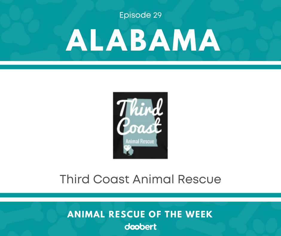 FB 29. Third Coast Animal Rescue_Animal Rescue of the Week