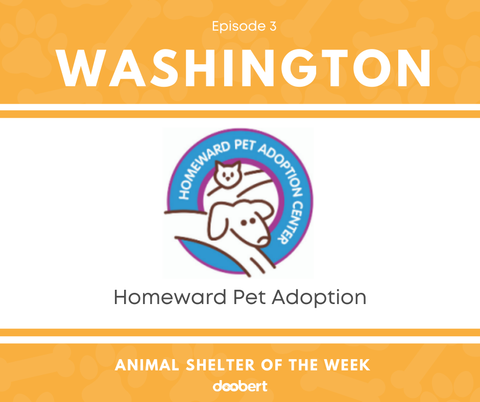 FB 3. Homeward Pet Adoption_Shelter of the Week