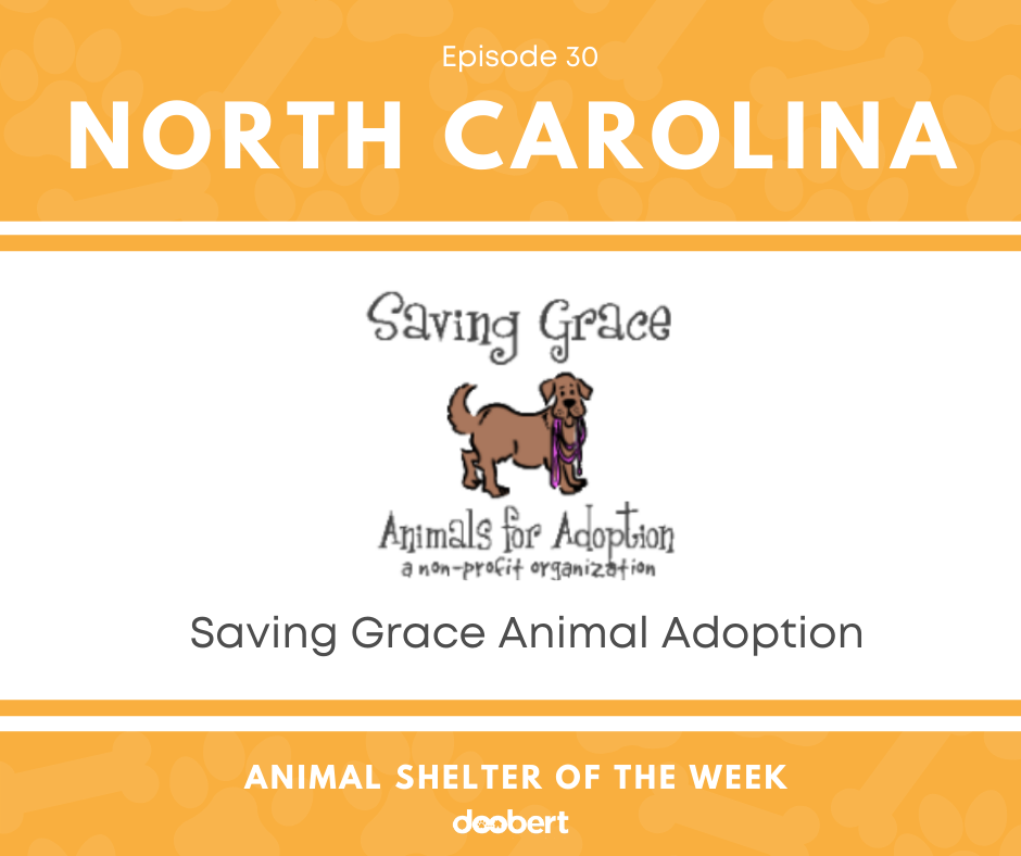 FB 30. Saving Grace Animal Adoption_Animal Shelter of the Week