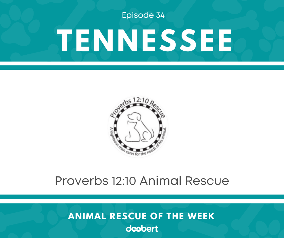 FB 34. Proverbs 12_10 Rescue_Animal Rescue of the Week