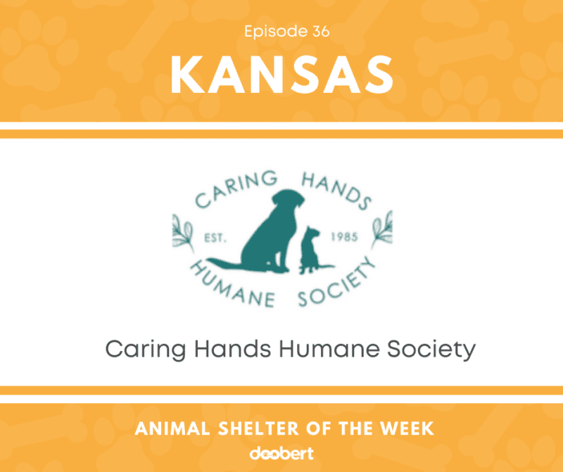 Animal Shelter of the Week Episode 36 Caring Hands Humane Society