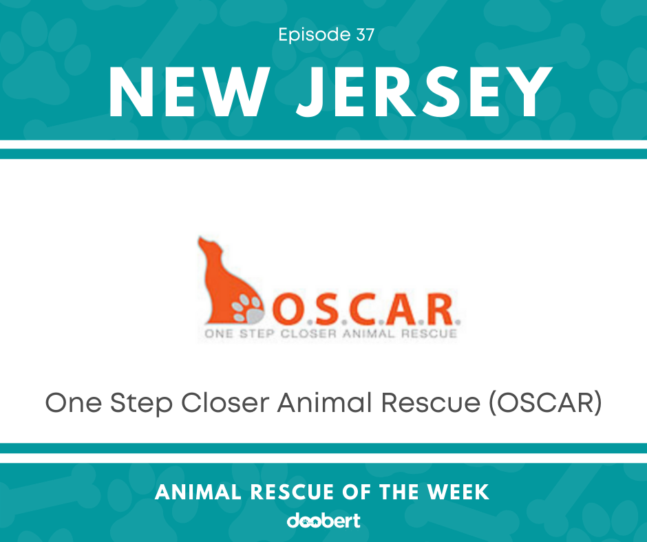 FB 37. One Step Closer Animal Rescue_Animal Rescue of the Week