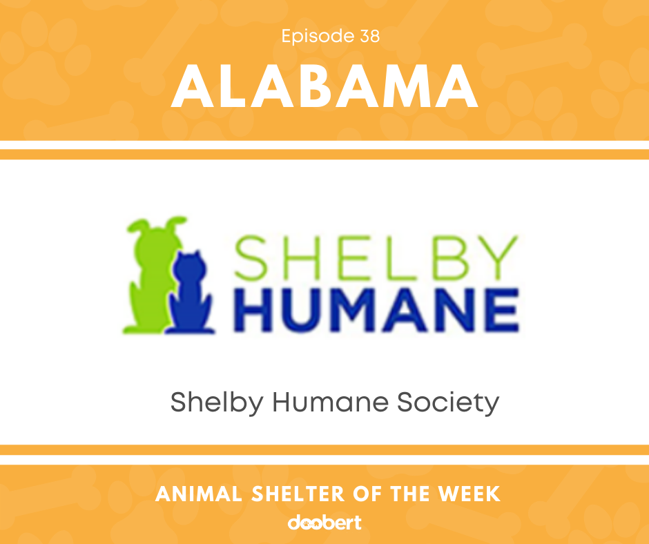 FB 38. Shelby Humane Society_Animal Shelter of the Week