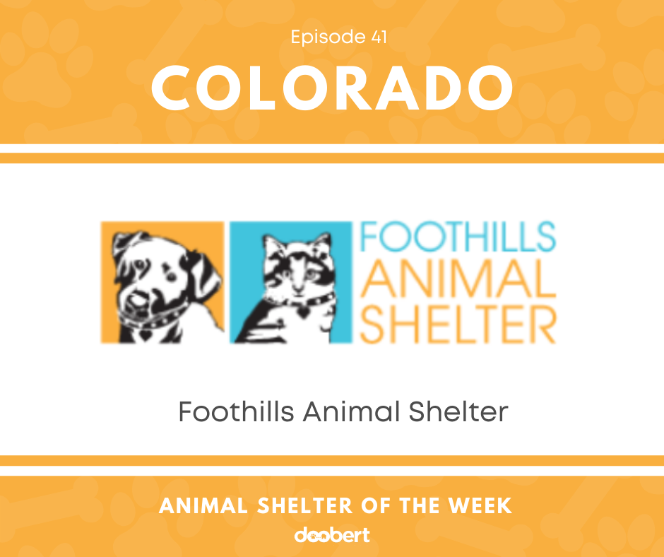 FB 41. Foothills Animal Shelter_Animal Shelter of the Week