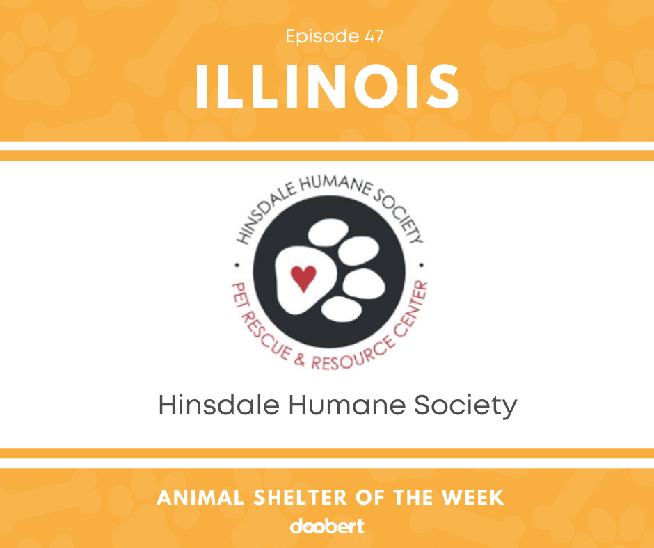 FB 47. Hinsdale Humane Society_Animal Shelter of the Week