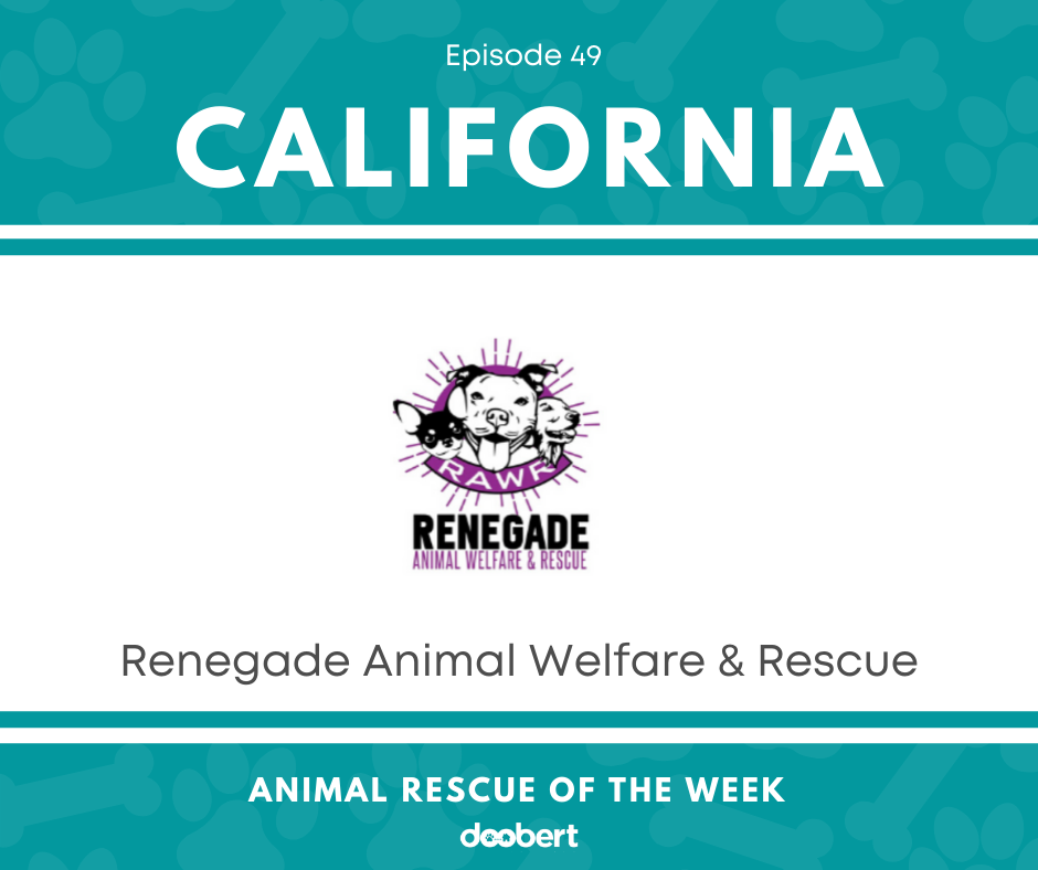 FB 49. Renegade Animal Welfare & Rescue_Animal Rescue of the Week