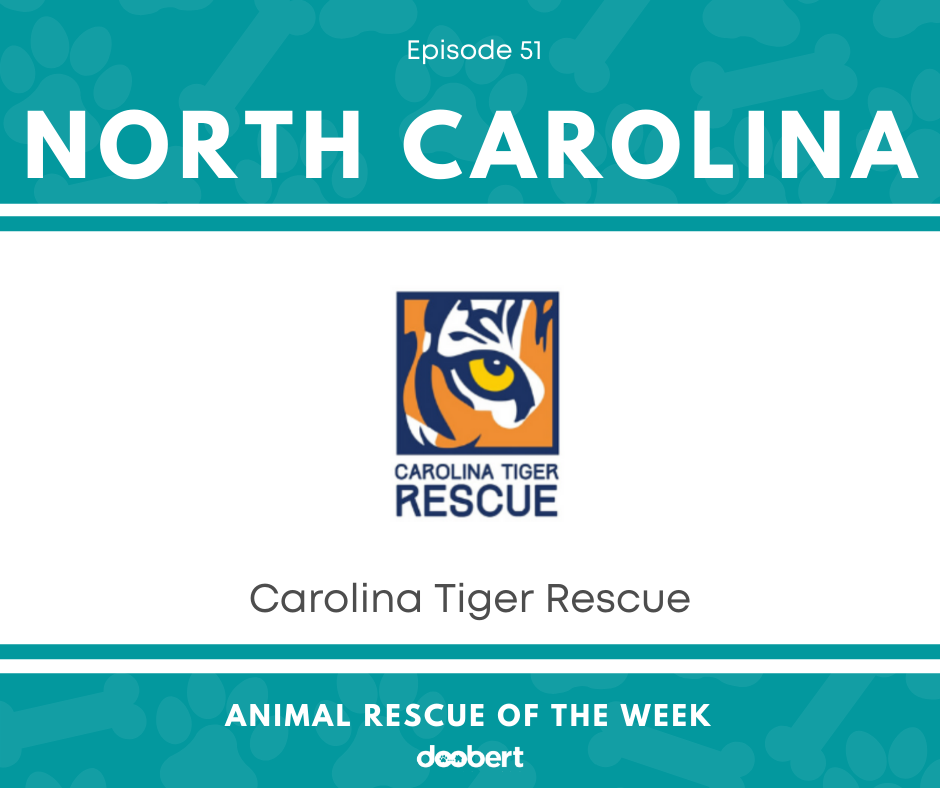 FB 51. Carolina Tiger Rescue_Animal Rescue of the Week