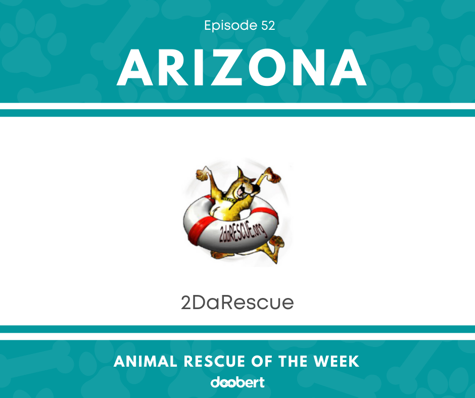 FB 52. 2DaRescue_Animal Rescue of the Week