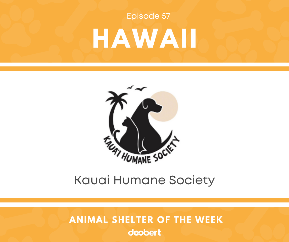 FB 57. Kauai Humane Society_Animal Shelter of the Week