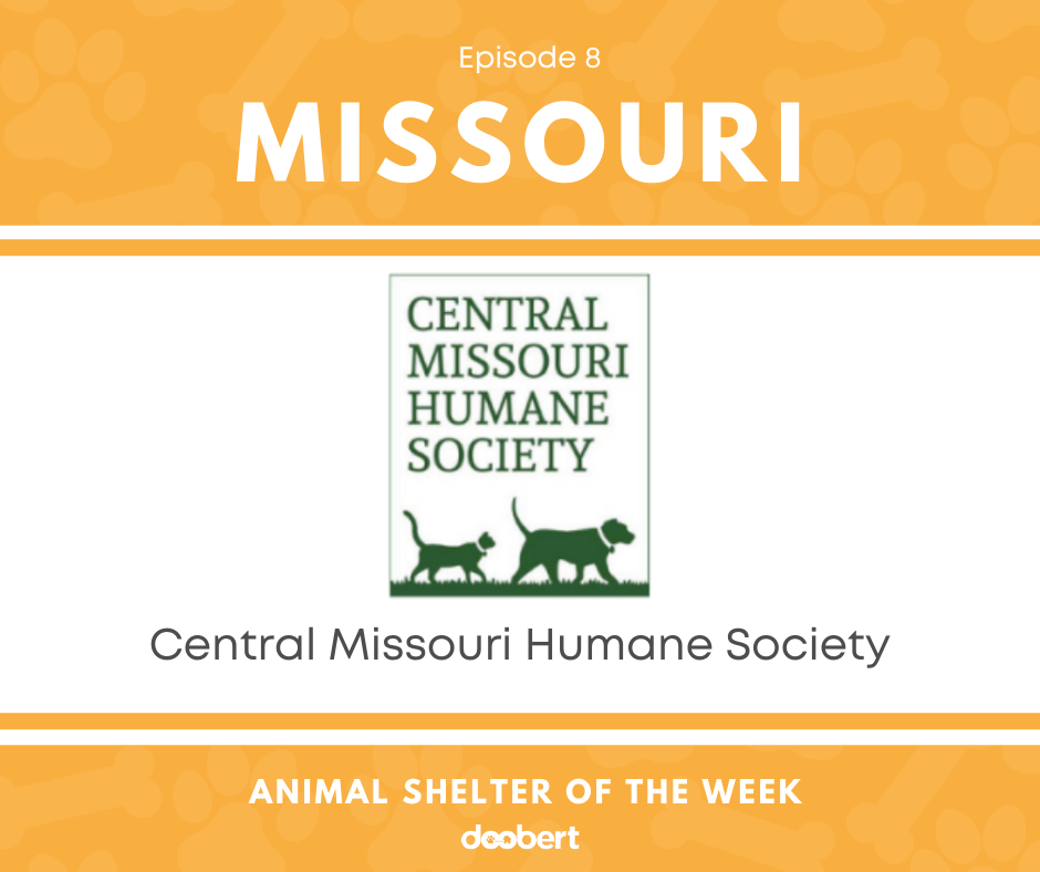 FB 8. Central Missouri Humane Society_Shelter of the Week
