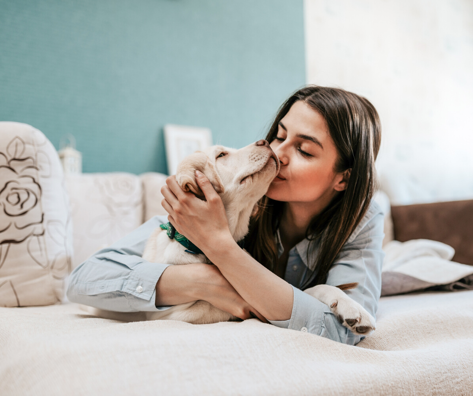 4 Tips on Keeping Pets Safe During the COVID-19 Pandemic