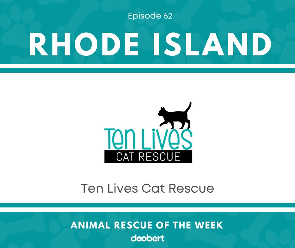 Ten Lives Cat Rescue