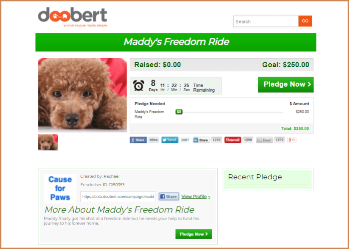 Maddy's Freedom Ride-min