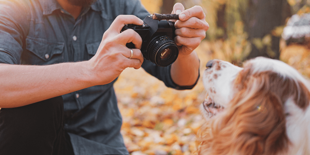 Boston Photographer Aspires to Tell Every Dog's Tale through Photography
