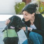 Setting the Standards for Pet-Friendly Businesses | Woof Together