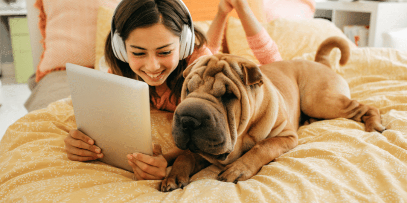 Dog Podcast Network Improves Dogs’ Quality of Life by Podcasting and Meditation