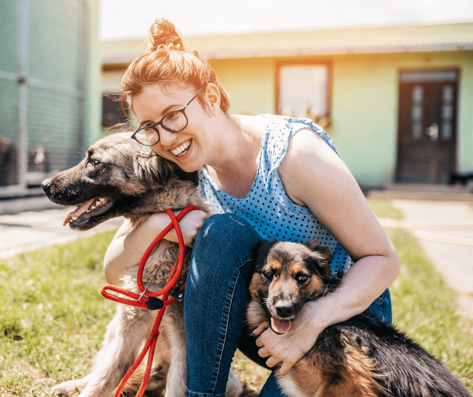 animal shelter volunteer with dogs