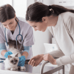 Torigen Pharmaceuticals treats animals using cancer immunotherapies