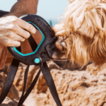 spleash spray leash for dogs protects your dog and refreshes them on the go