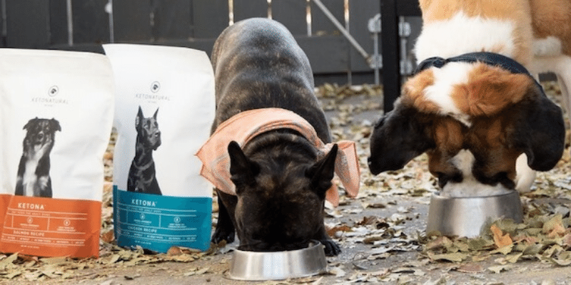 KetoNatural Pet Food Improves Canine Health