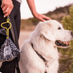 dooloop dog poop bag holder makes life less icky