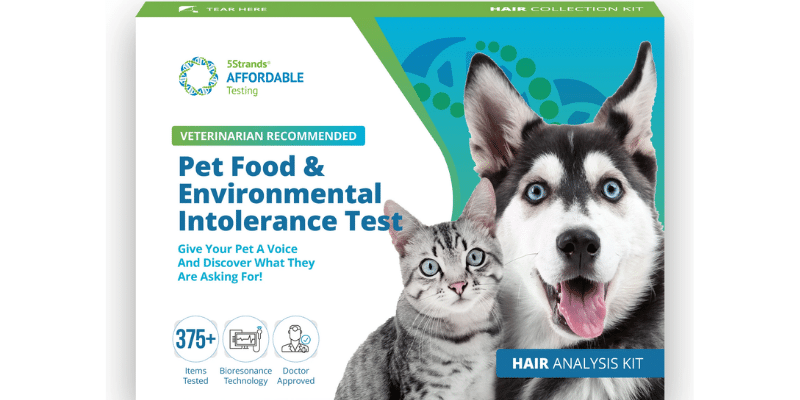 5strands empower pet parents into making informed lifestyle and dietary adjustments