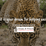 chappy and friends incubator for non-exempt grassroots animal welfare projects