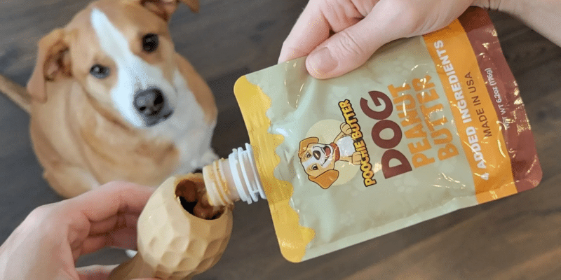 poochie butter holistic peanut butter equips pet parents to become responsible owners