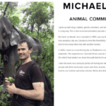 Animal Michael Lane connects you deeper to your animal companions