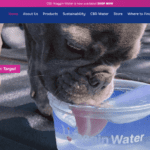 waggin water delivers pet additional nutrients for pet hydration