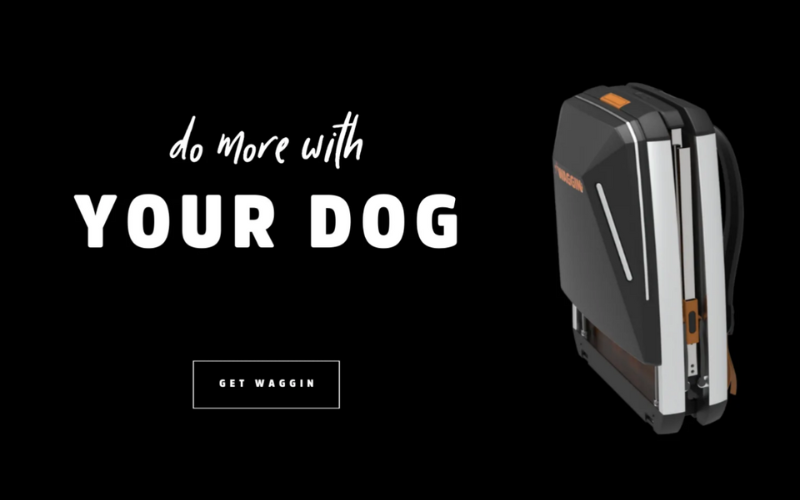 Take Your Pets Out On A Stroll With Waggin Backpack │ Waggin