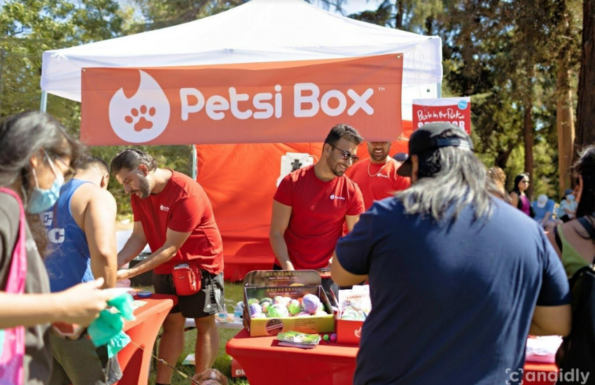 The Ultimate Subscription Box That Can Meet All Pet Needs │ Petsi Box