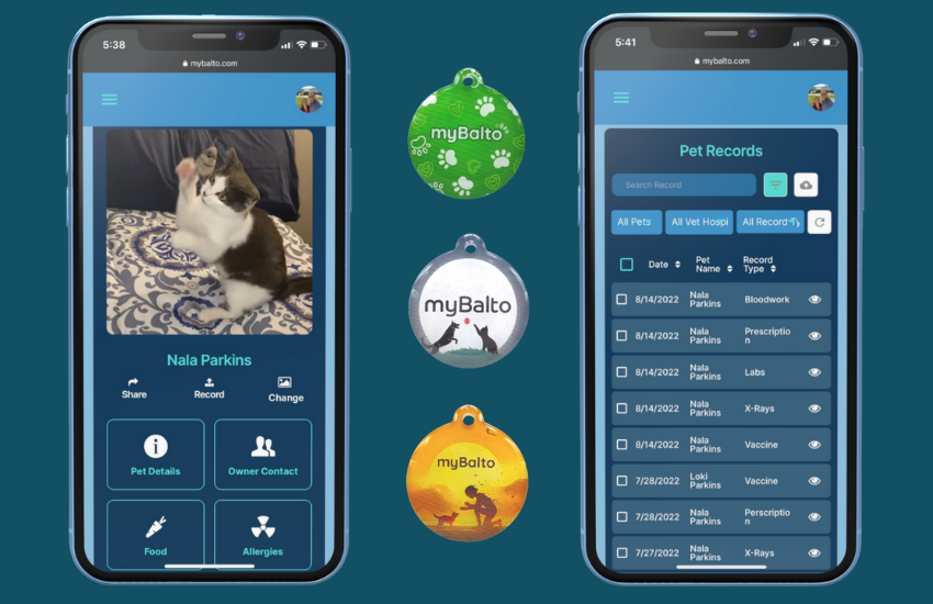 The Pet Health Platform Designed To Give Money Back To Pet Owners │ myBalto