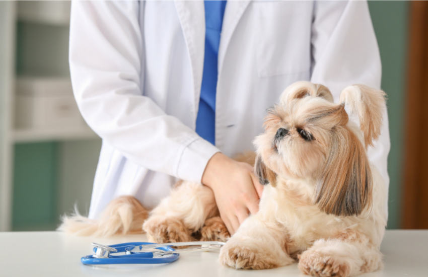 How Long Are Dogs Hospitalized For Parvo?