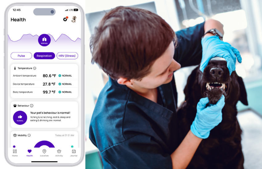 Health And Wellness Monitor For Better Insight On Your Pet │ MyPetGo -  Doobert LIVE