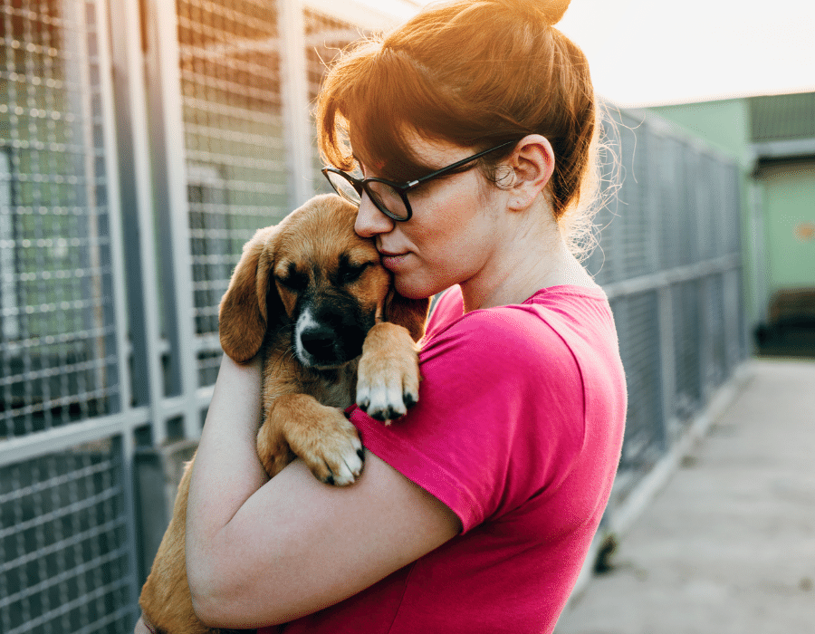 woman rescue volunteer holding rescue dog
