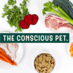 High-quality Dog Food Made From Upcycled Nutritious Ingredients │ The Conscious Pet