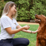 Revolutionizing Your Pet’s Meal With A Plant-Based Dog Nutrition Diet │ Vivus Pets