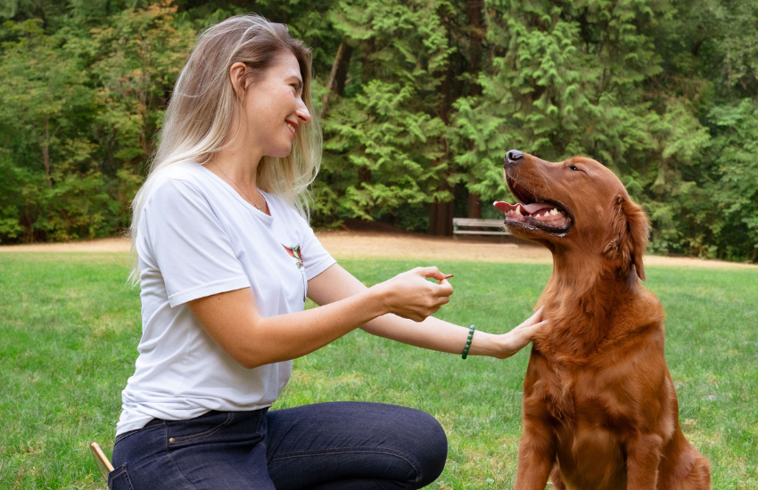 Revolutionizing Your Pet’s Meal With A Plant-Based Dog Nutrition Diet │ Vivus Pets