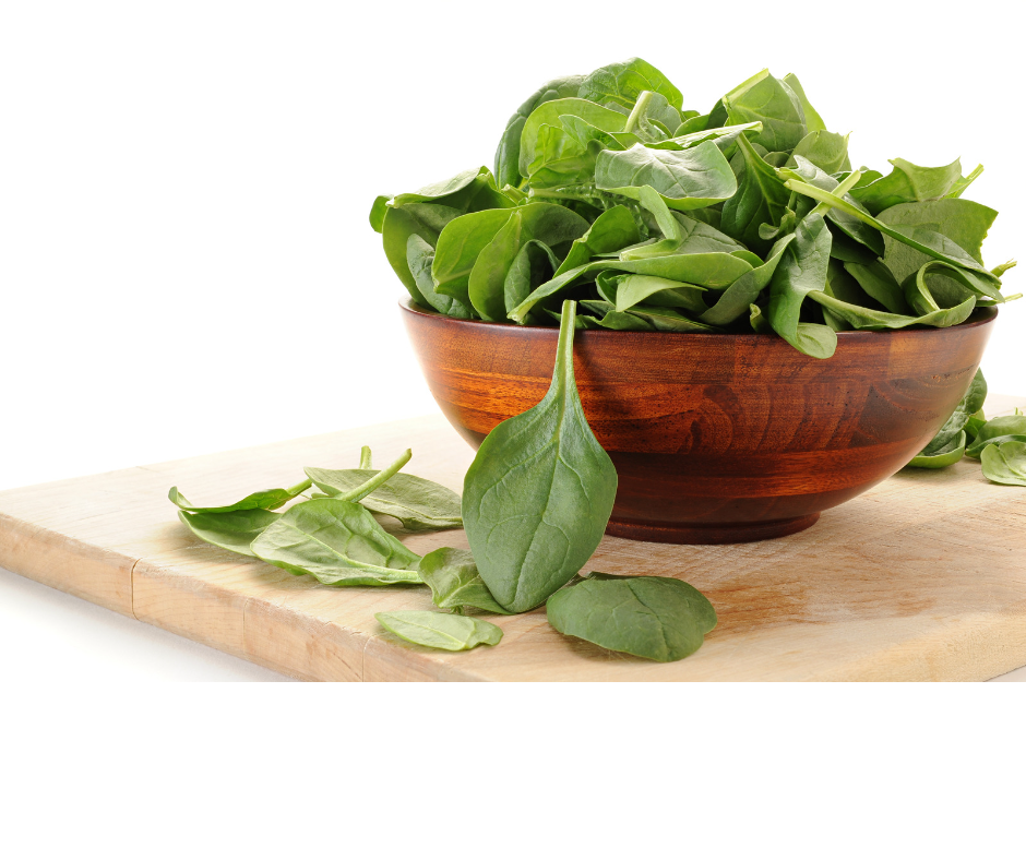 Spinach: Is It Good for Dogs? Is It Safe?