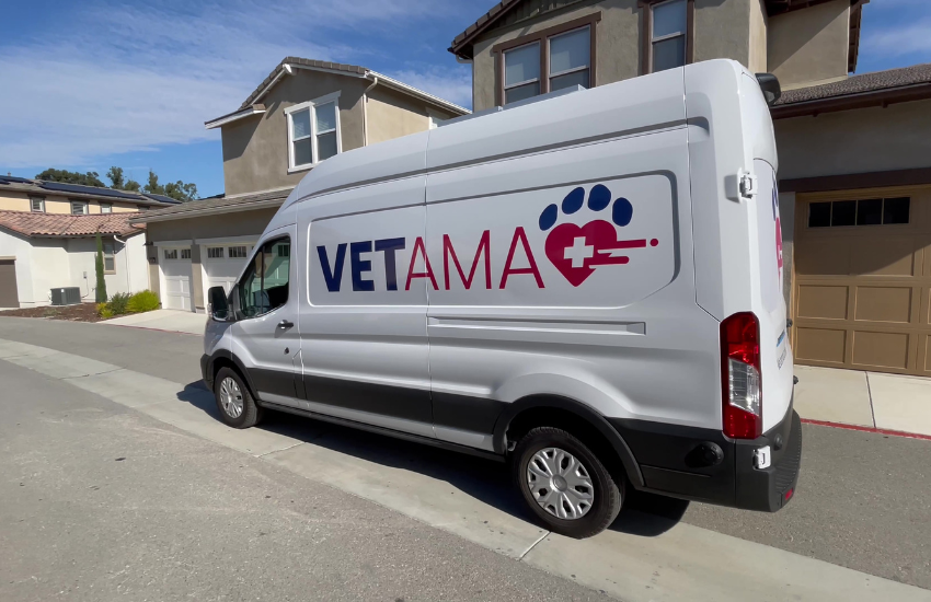 Mobile Veterinary Service: Starting And Being Your Own Practice │ Vetama