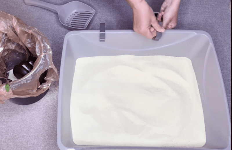 Redefining Litter Innovations For Cat Parents Cat Savant Doobert