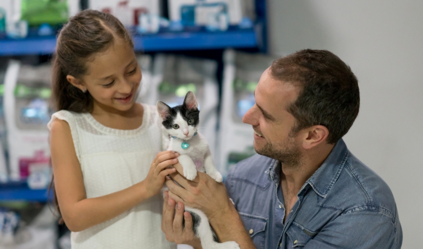 Five Innovative Approaches to Finding Homes for Shelter Cats