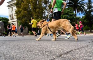 Paws and Play: How to Stay Active While Supporting Animal Rescues
